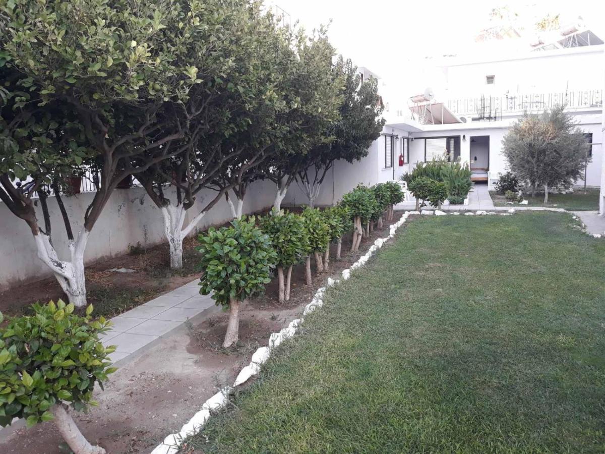 Andavis Hotel (Adults Only) Kardamena  Zewnętrze zdjęcie